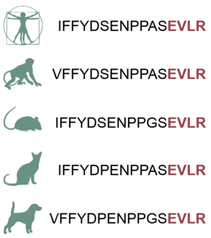 TXP Assays | NMI TT Pharmaservices