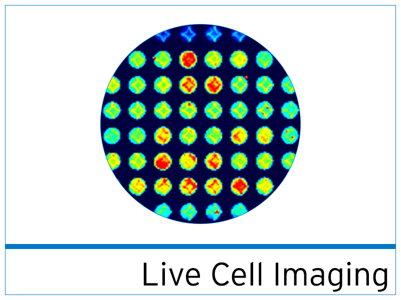Hamamatsu FDSS/uCell and Zeiss Cell Explorer Services