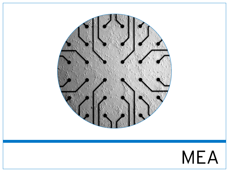 Microelectrode Array (MEA) Services