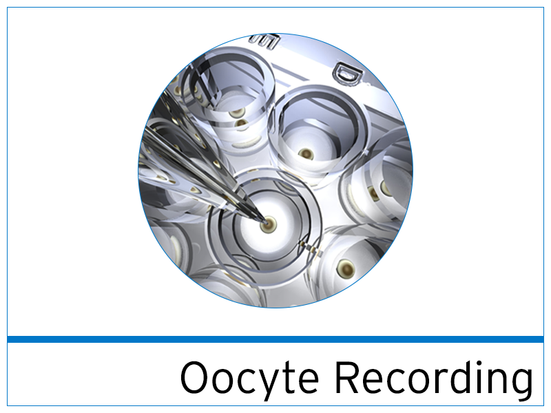 Oocyte Recording Services