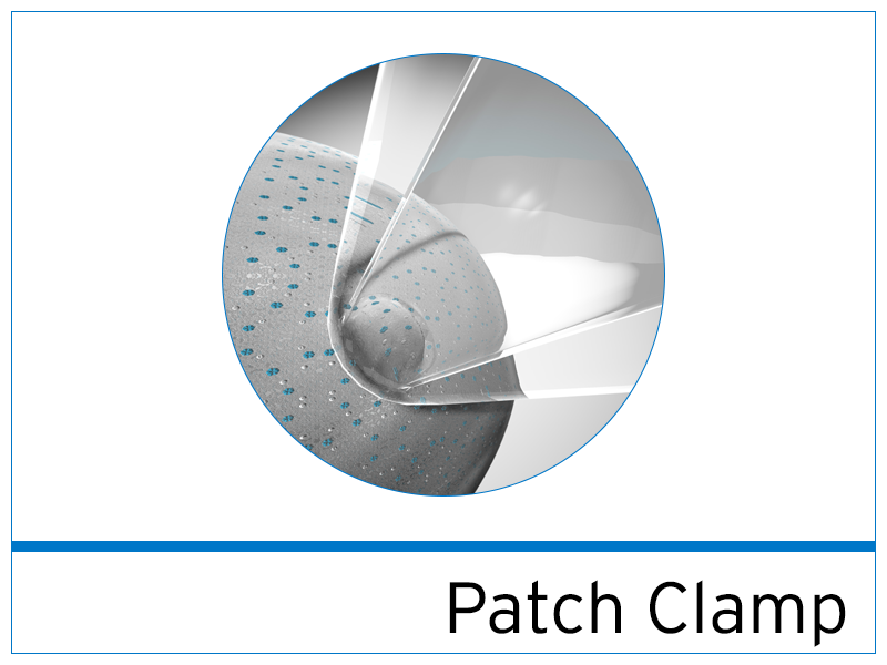 Manual and Automated Patch Clamp Services