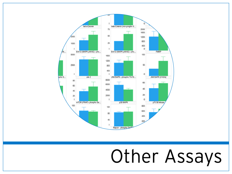 Classical approaches for protein profiling.